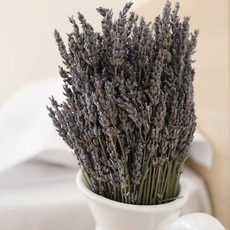 Lavandula Ring Tiran Dış mekan fotoğraf