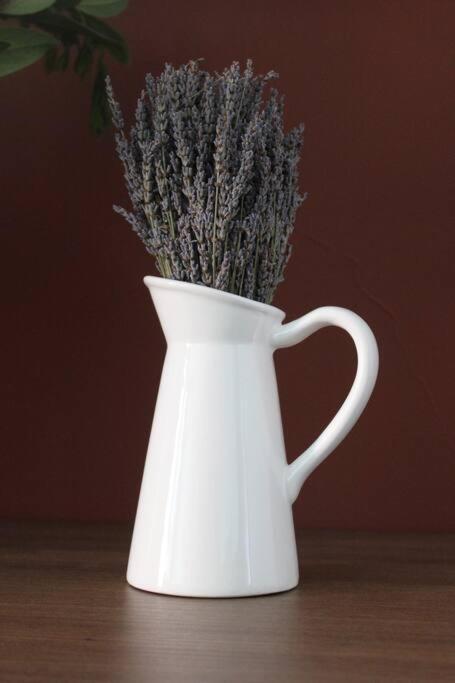 Lavandula Ring Tiran Dış mekan fotoğraf