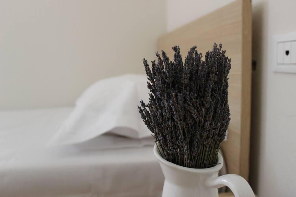 Lavandula Ring Tiran Dış mekan fotoğraf