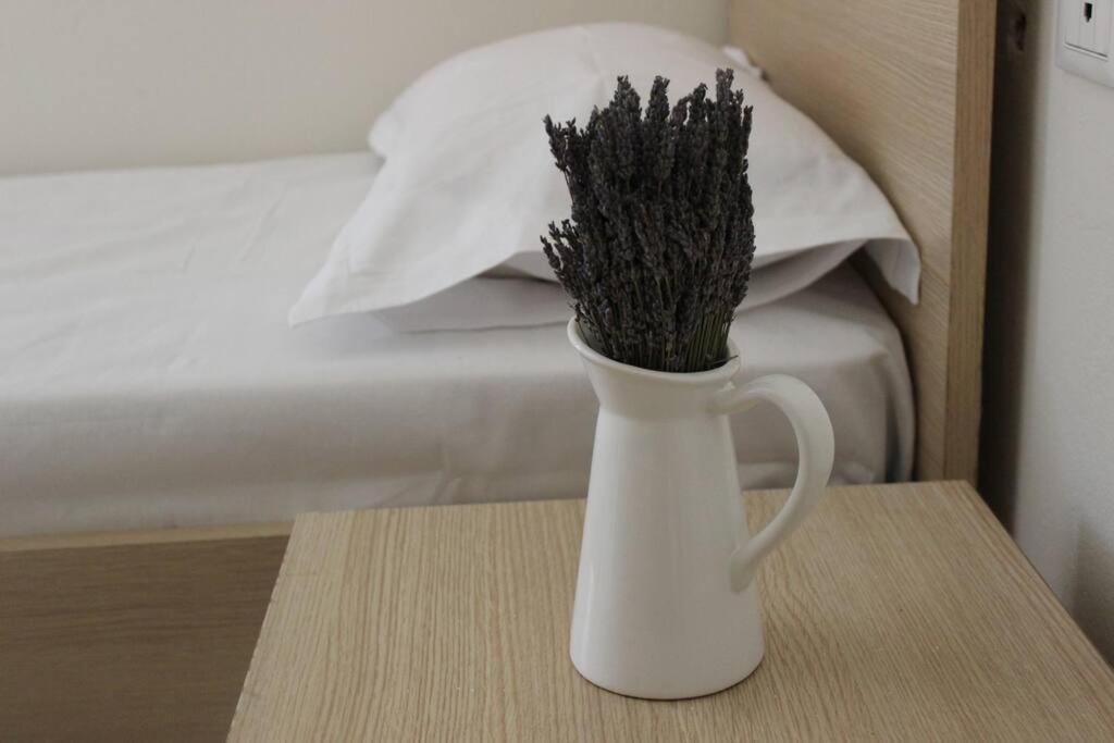 Lavandula Ring Tiran Dış mekan fotoğraf